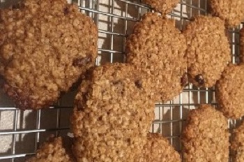 oatmeal cranberry walnut cookie